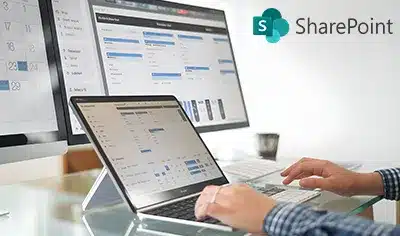 SharePoint Project Management Best Practice